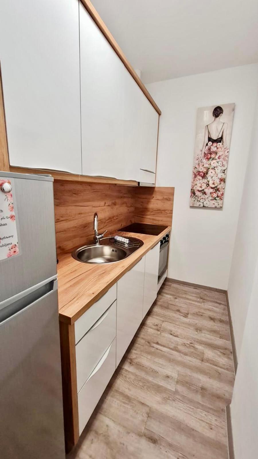 Ljubljana Central Lux Apartment With Free Parking Exterior photo